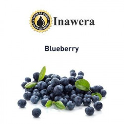 Blueberry Inawera Blueberry Inawera